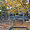 DSCF6391.JPG