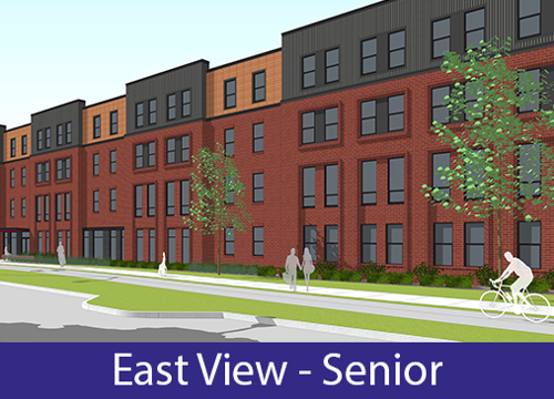 Senior - Street