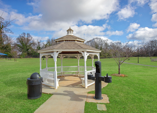 Iris Park At Griffin 20