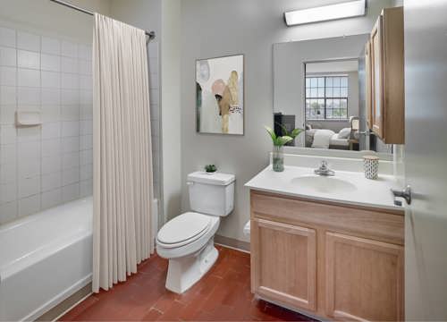 Lofts Bathroom