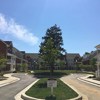 Img 7527