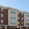 Website Header