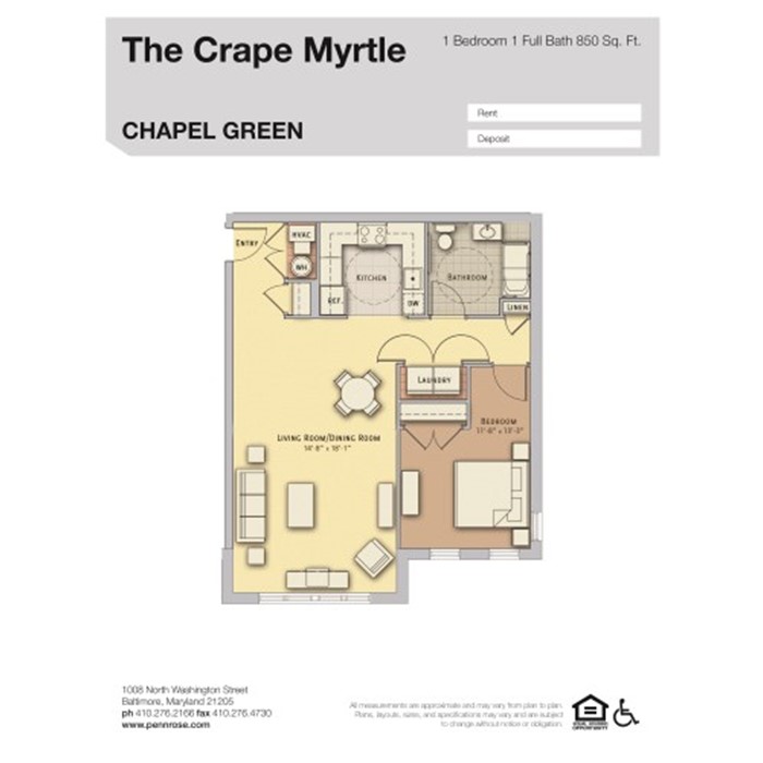 The Crape Myrtle