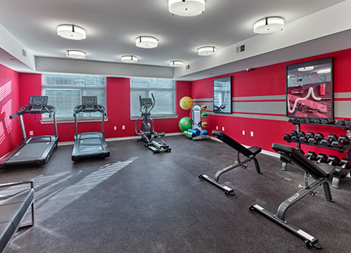Fitness 2 - P